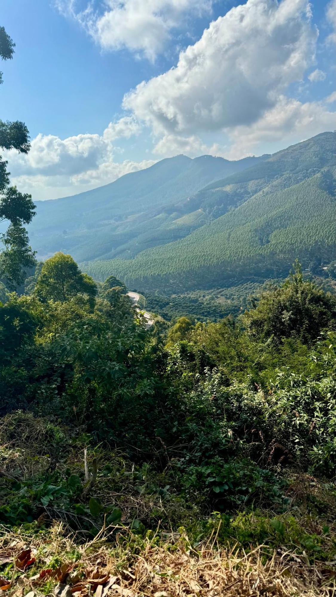 Magoebaskloof Mountain Lodge Tzaneen Esterno foto