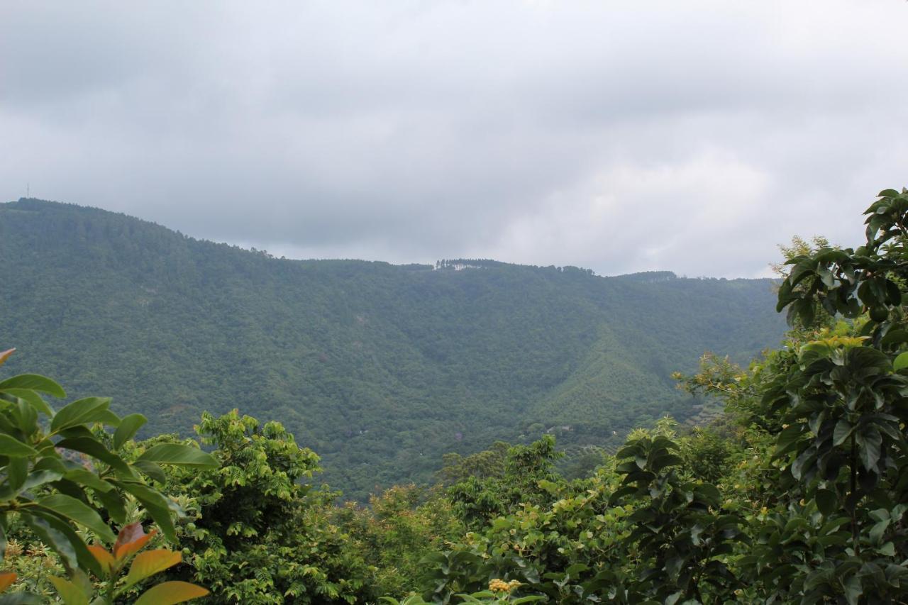 Magoebaskloof Mountain Lodge Tzaneen Esterno foto